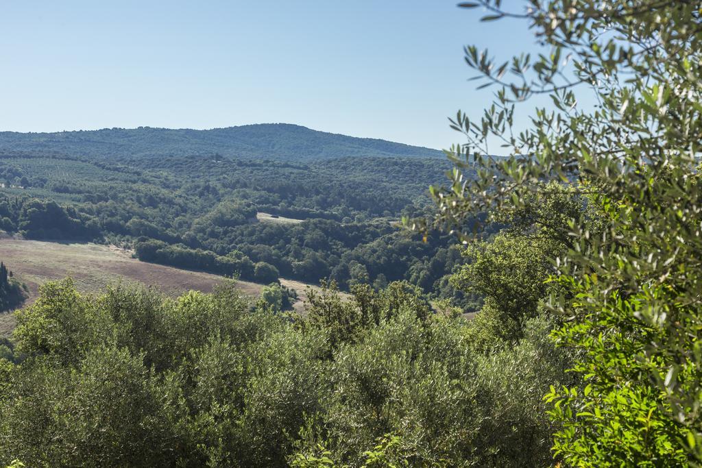 Casale Degli Ulivi Otel Rapolano Terme Dış mekan fotoğraf