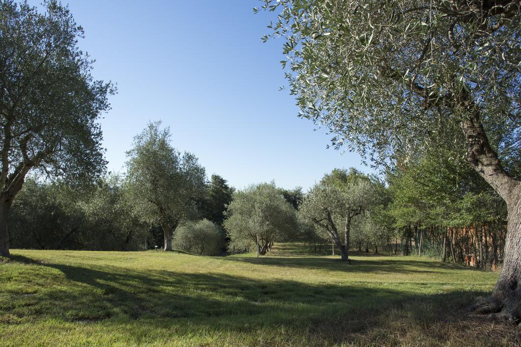 Casale Degli Ulivi Otel Rapolano Terme Dış mekan fotoğraf