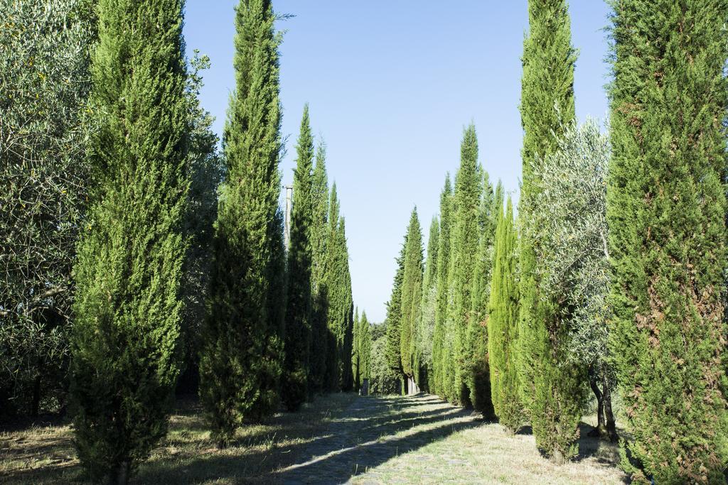 Casale Degli Ulivi Otel Rapolano Terme Dış mekan fotoğraf