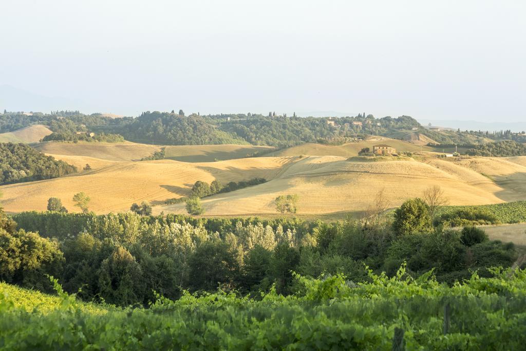 Casale Degli Ulivi Otel Rapolano Terme Dış mekan fotoğraf